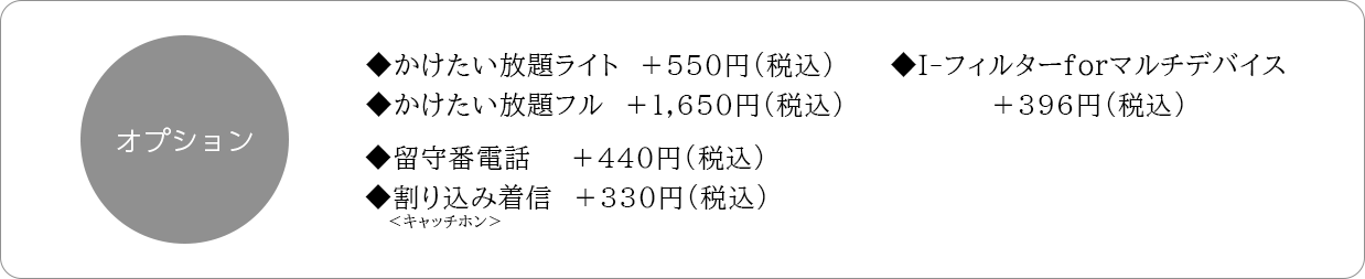 オプション
かけたい放題ライト＋550円(税込)
かけたい放題フル＋1,650円(税込)